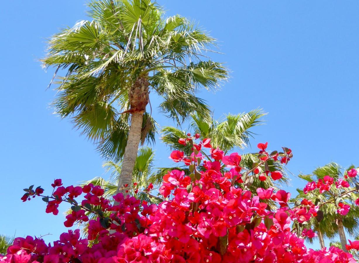 Maison Illeta Golf Bonalba Holiday home *